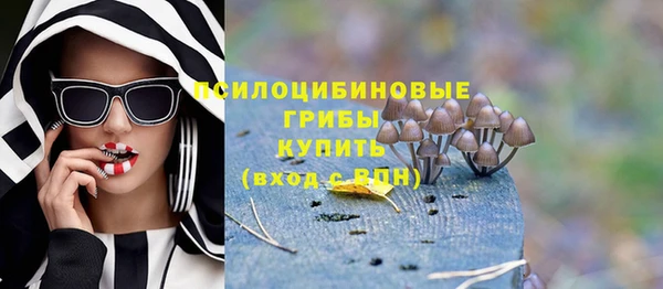 ALPHA-PVP Заводоуковск
